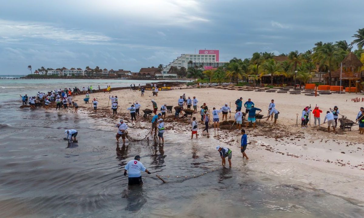 Intensifica gobiernos de Isla Mujeres la limpieza de playas por la llegada de sargazo