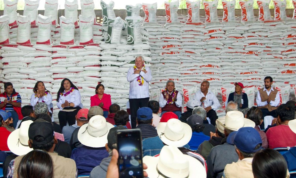 Al entregar el programa Fertilizantes para el Bienestar en San Francisco Chindúa, Oaxaca, el titular de Agricultura, Víctor Villalobos, reconoció el trabajo y el compromiso de los agricultores