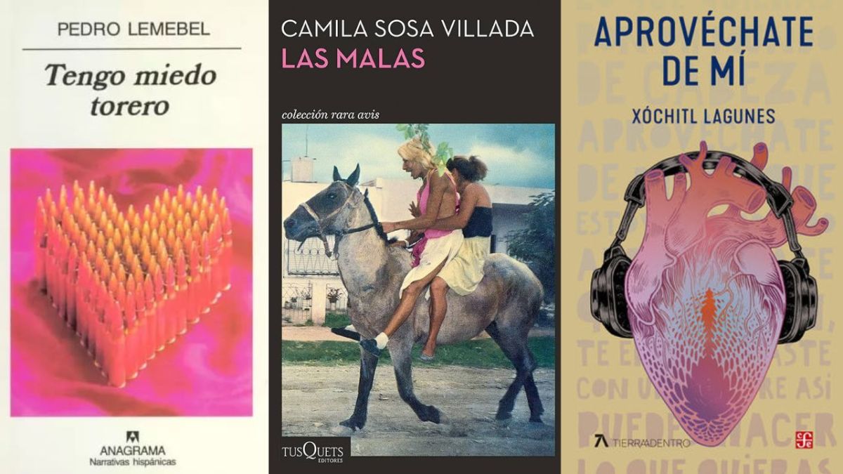 En el marco del mes del orgullo, una breve lista de título de literatura queer o LGBT+, entre los que destacan autoras latinoamericanas.