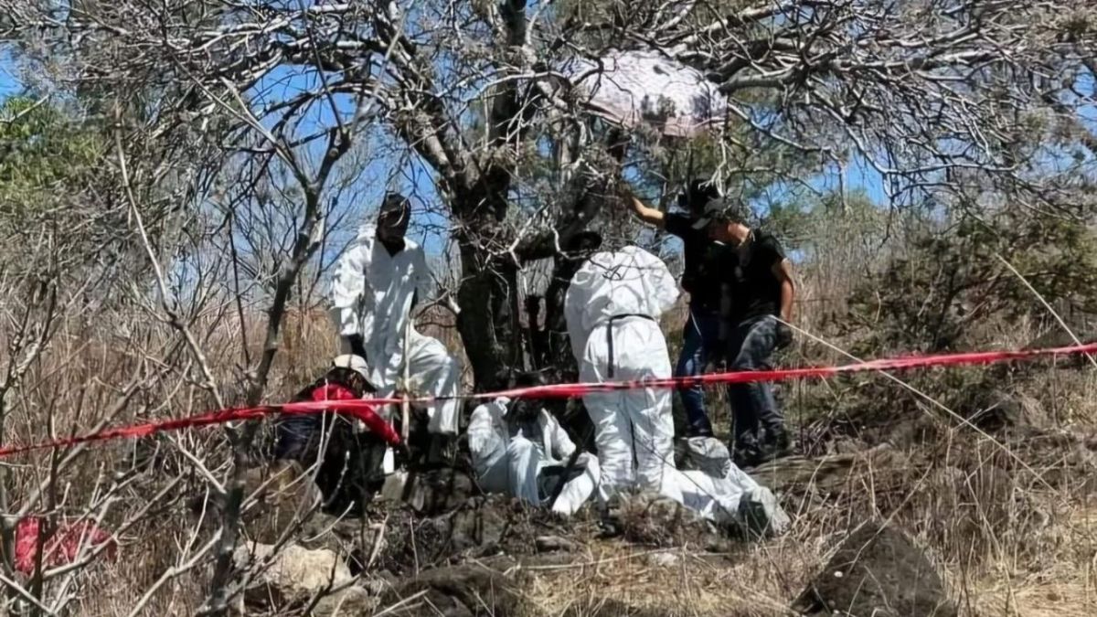 Hallan 17 cadáveres en fosa clandestina de Jacona, Michoacán