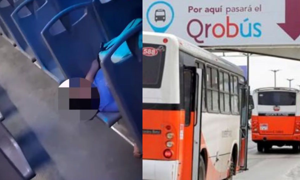 Conductor de transporte público llega a su base y se encuentra a una pequeña dormida en los asientos tras ser olvidada