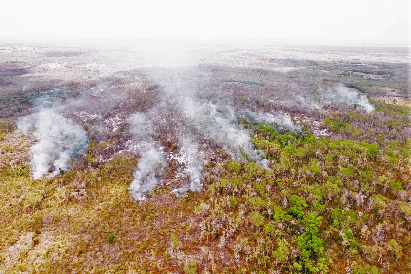 Al momento se encuentran activos los incendios Chanchén, El Remate e Xmejía, los cuales están siendo atendidos por SEMABICCE, CONANP y CONAFOR