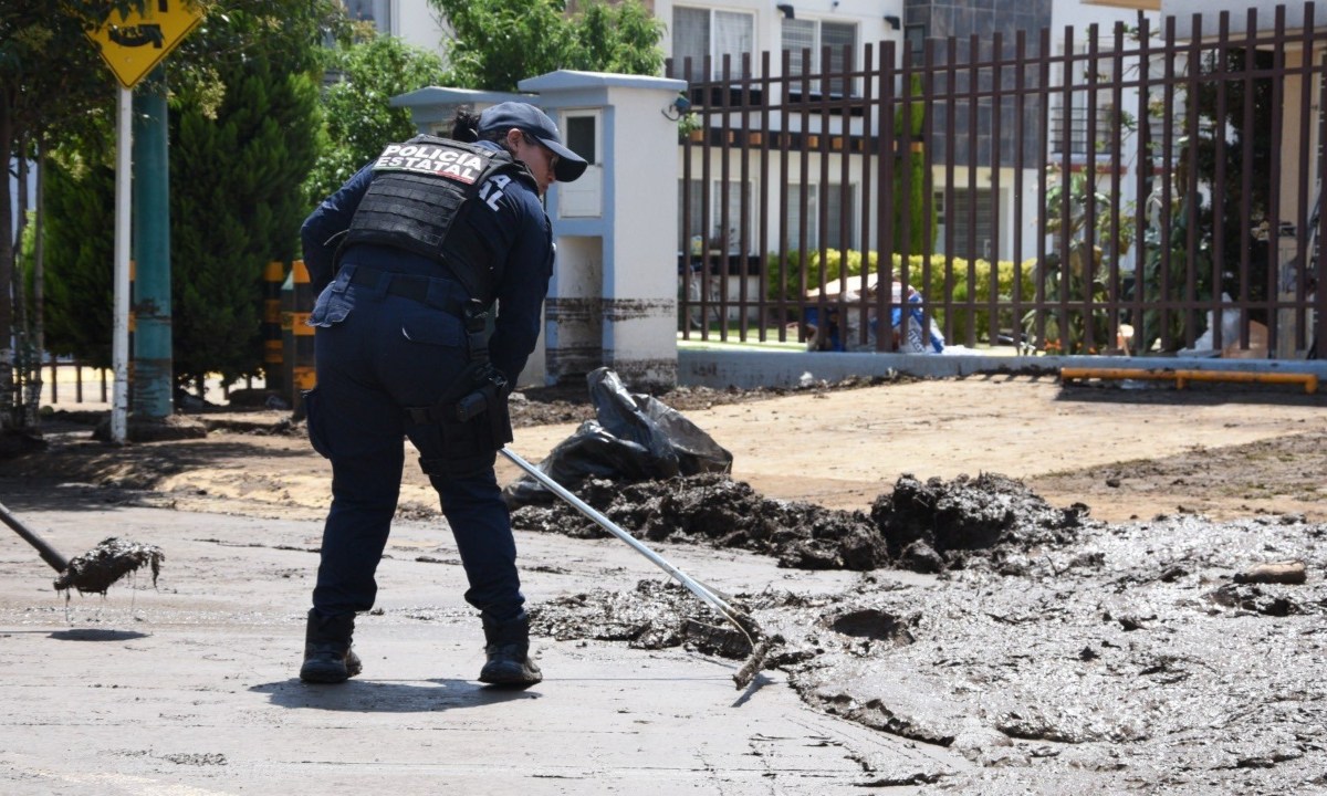 Foto: X@delfinagomeza/ Plan DNIII en apoyo a damnificados por lluvias en EDOMEX