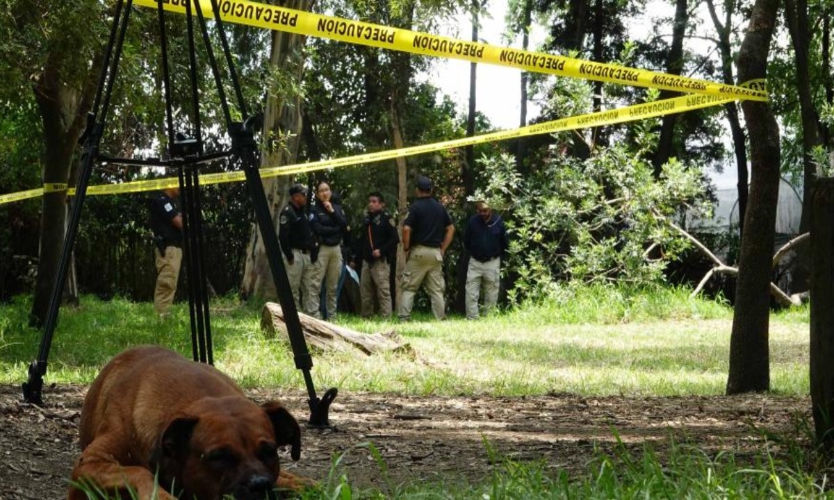 Foto: Cuartoscuro/ van 25 perros muertos encontrados en el Bosque de Nativitas, hasta el momento no hay avance en los casos