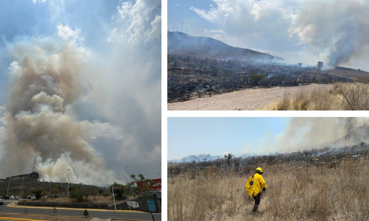 Durante la tarde de este jueves 6 de junio, se registró un incendio de pastizal en el Cerro Gordo de León, en el estado de Guanajuato.