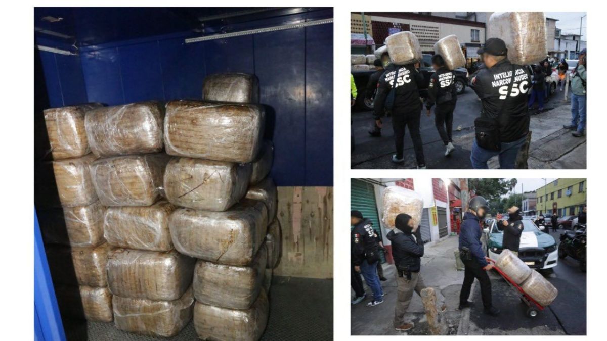 Tras la detención de generador de violencia en la alcaldía Venustiano Carranza, aseguran 600 kilos de mariguana tras cateo en la Zona Centro