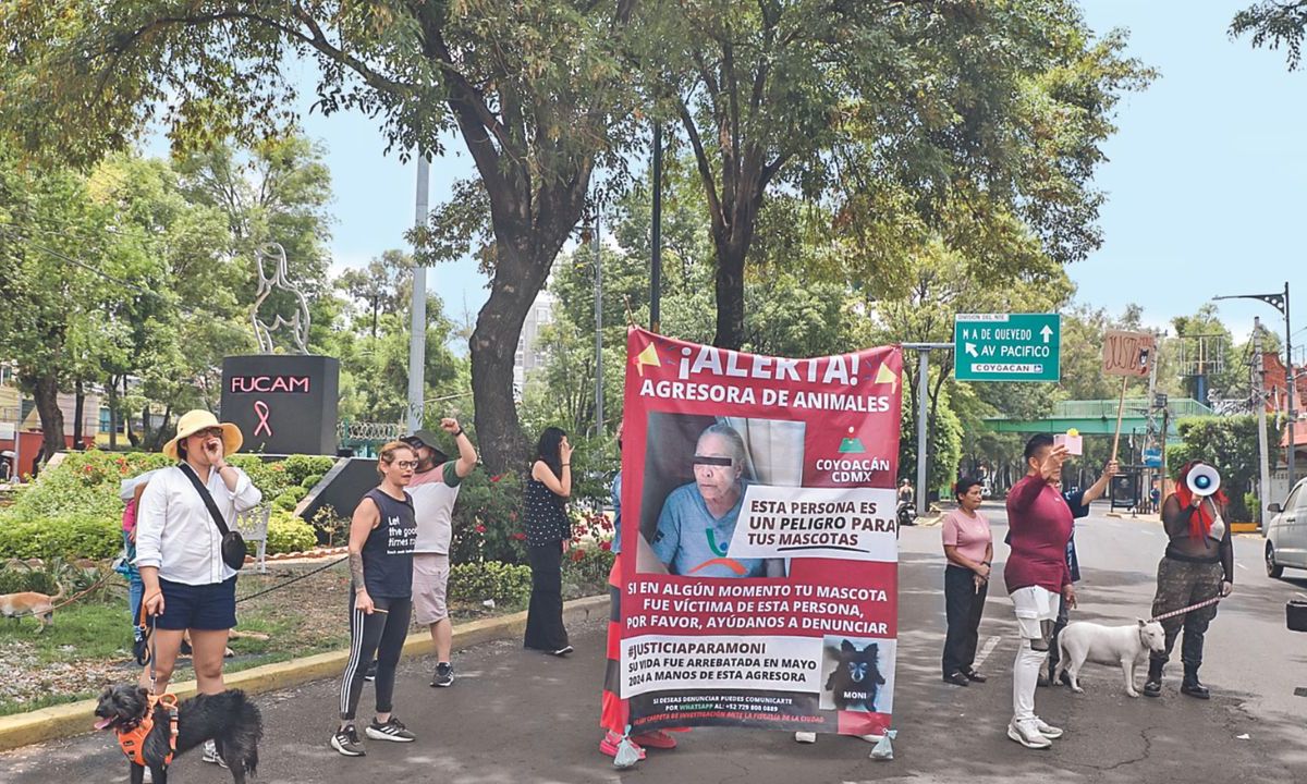 Hechos. Esmeralda relató que en un video se observa a su vecina atar a su perra e ingresarla a su domicilio, por lo que pidió a las autoridades atender las denuncias.