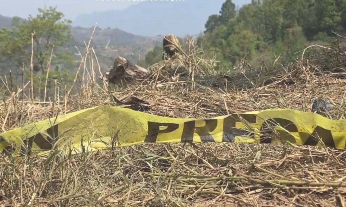 Cárteles están ‘relocalizando’ plantíos de coca en Chiapas