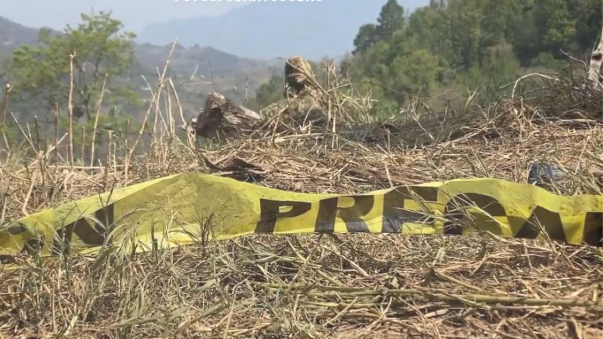 Cárteles están ‘relocalizando’ plantíos de coca en Chiapas