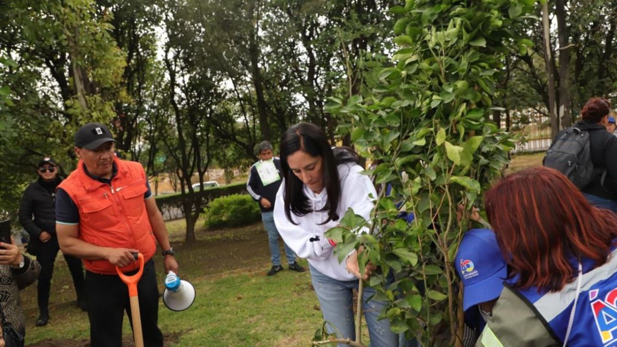 La alcaldesa agradeció la colaboración de los aliados de la alcaldía en estas acciones, al destacar la importancia de los árboles para el medio ambiente.