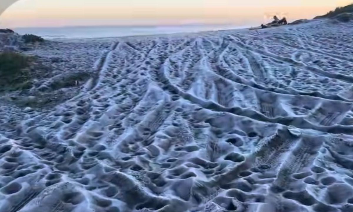 Frío extremo en Chile: por las bajas temperaturas se congeló la arena de playa Mariscadero