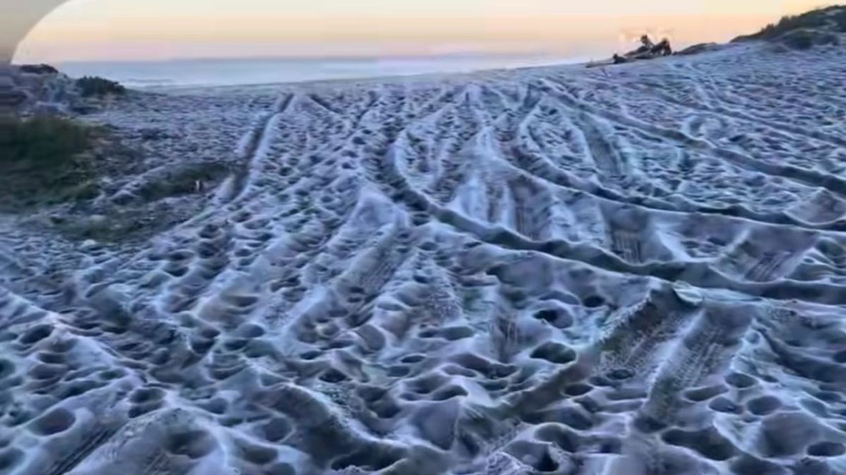 Frío extremo en Chile: por las bajas temperaturas se congeló la arena de playa Mariscadero