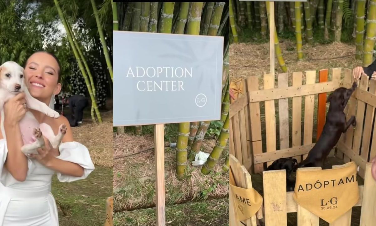 Veterinaria instala una zona para adopción de perros en su boda