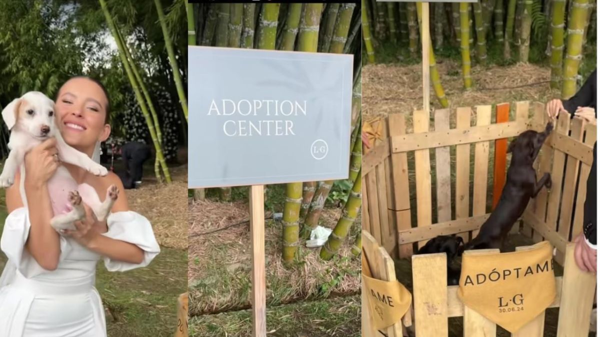 Veterinaria instala una zona para adopción de perros en su boda