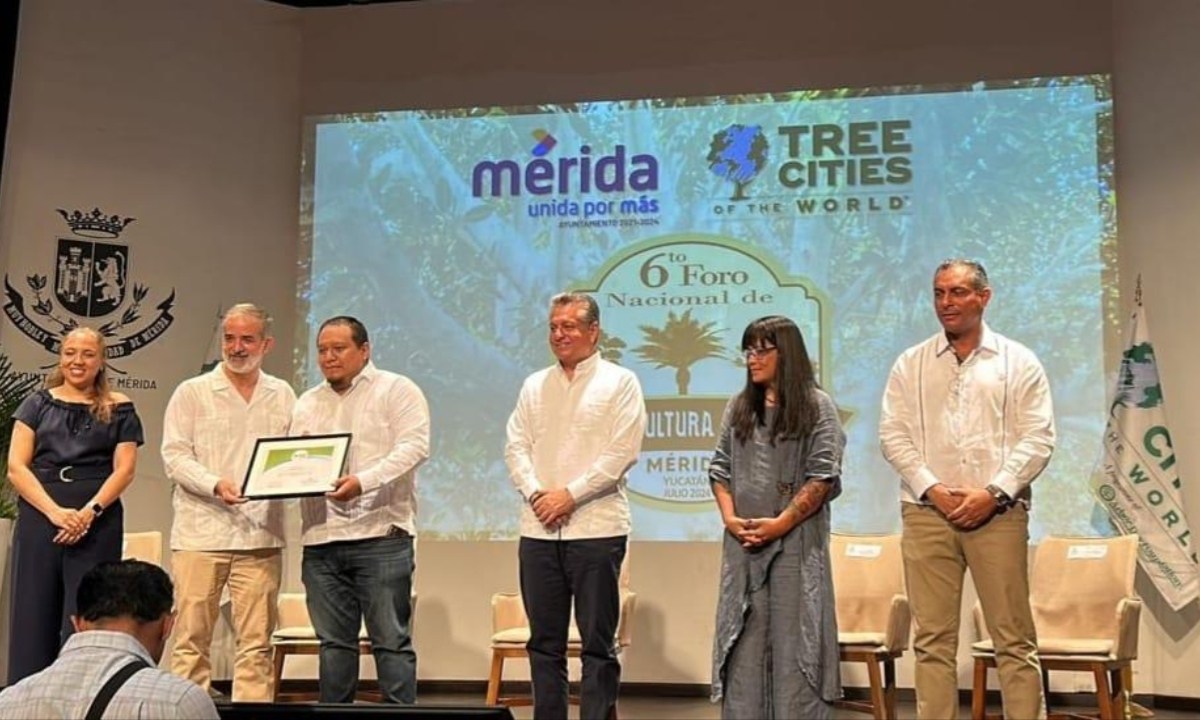 Foto:Especial/ Reconocimiento a Tlalpan por cuidado a árboles