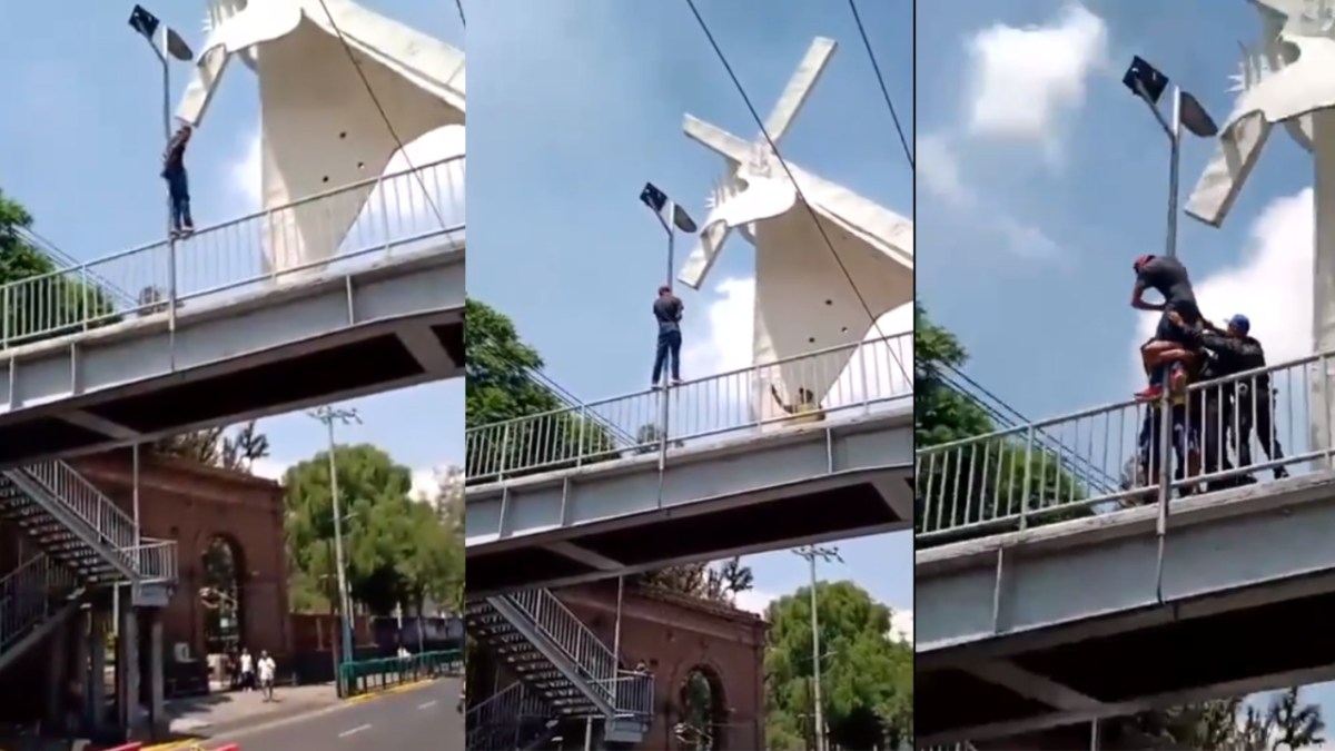 @Captura de pantalla, video de @MrElDiablo8/ Joven de 26 años intenta dañar su integridad física