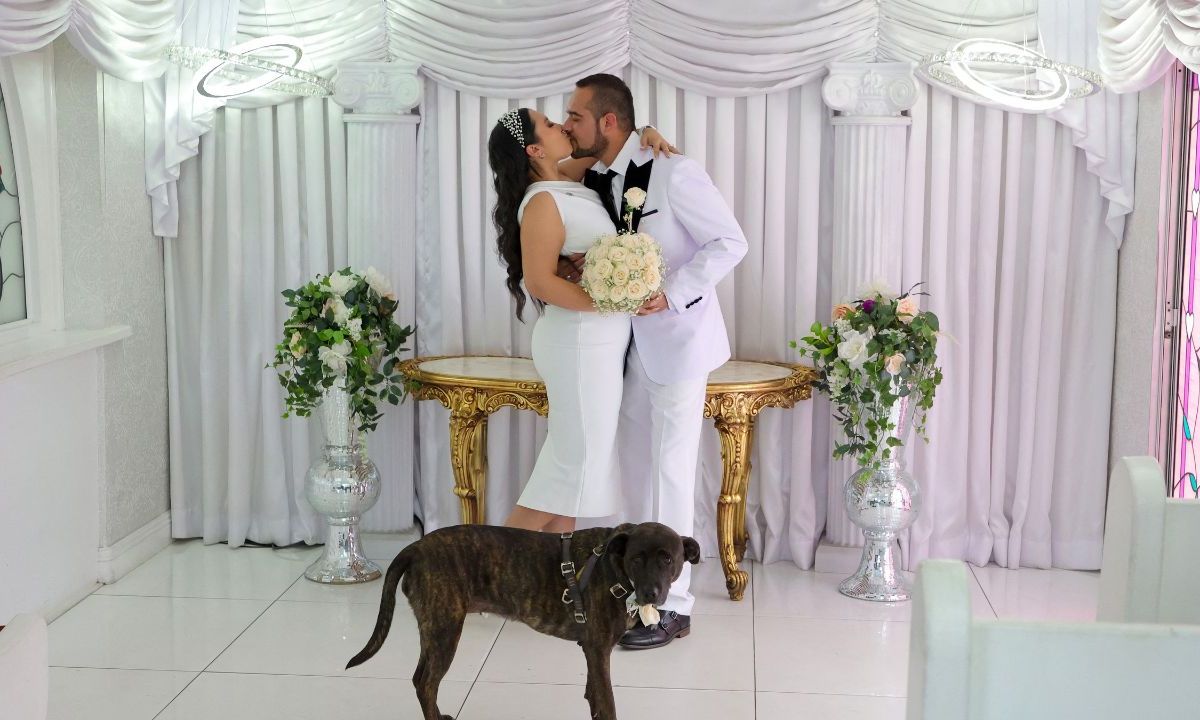 Rol inesperado. Varios estados permiten la inclusión de mascotas en bodas, reflejo de un cambio cultural.