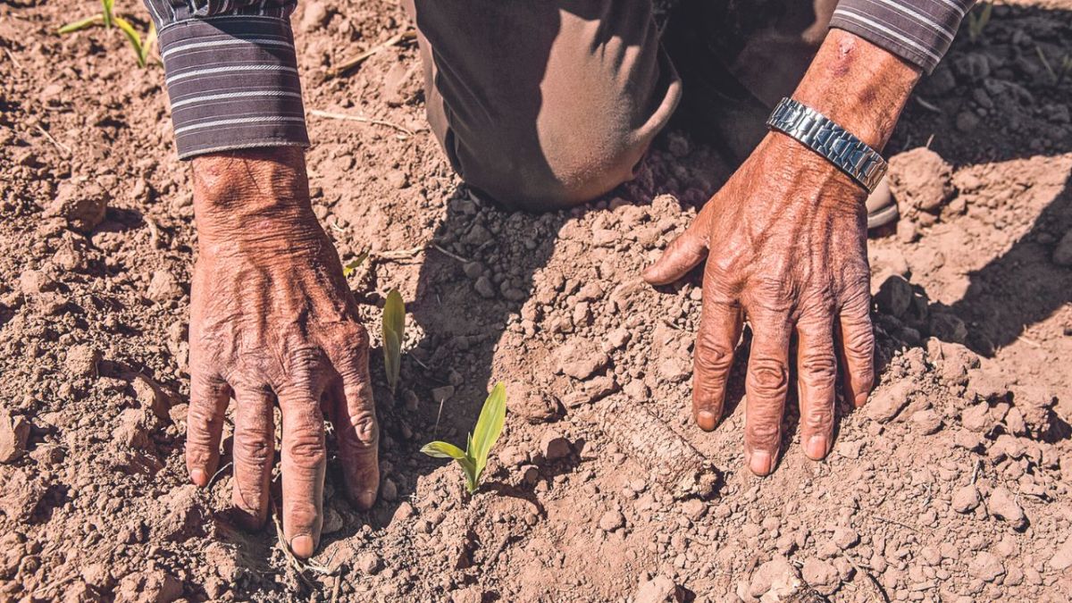 A pesar de que las presas para uso de riego agrícola se encuentran en niveles mínimos en en el país, las lluvias de julio han subido aunque levemente el nivel