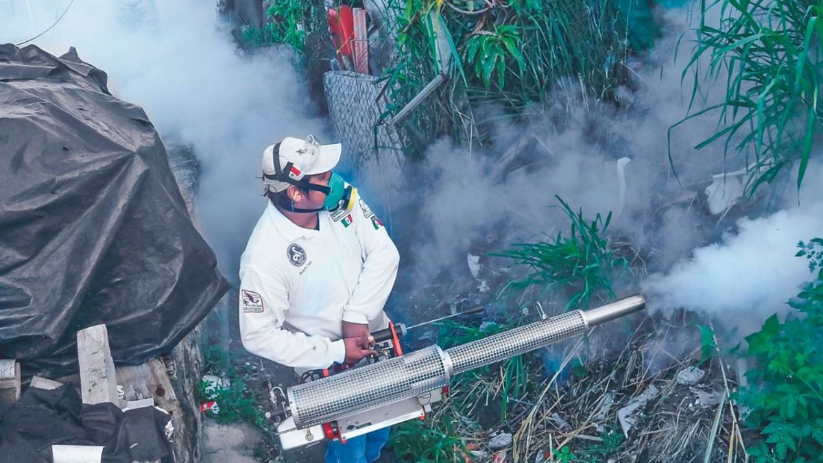 Trabajos. Autoridades realizan campañas para eliminar al mosquito transmisor del dengue.