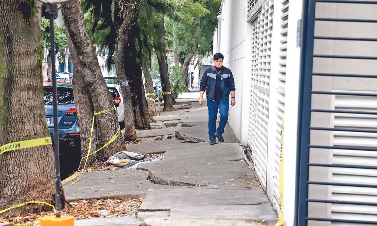 Causa. Las raíces de árboles dañaron dos zonas de un conjunto habitacional de la alcaldía Azcapotzalco donde hay cientos de departamentos