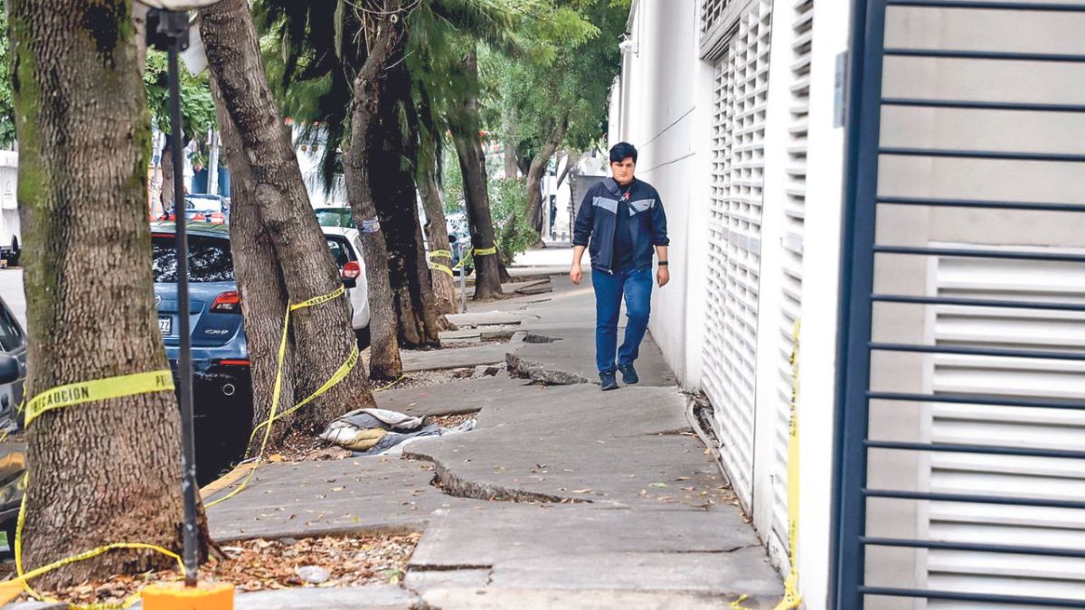 Causa. Las raíces de árboles dañaron dos zonas de un conjunto habitacional de la alcaldía Azcapotzalco donde hay cientos de departamentos