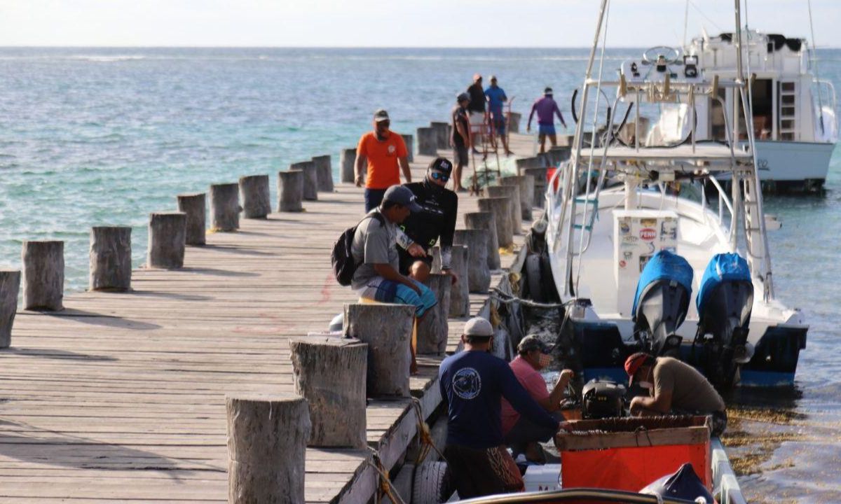 El sector náutico permaneció en resguardo entre los manglares en el puerto de abrigo de la Laguna Nichupté, tras los embates por el mal tiempo generado por el paso del huracán Beryl por Quintana Roo