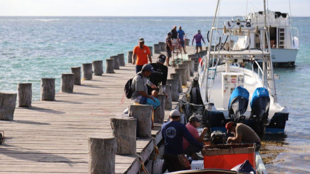 El sector náutico permaneció en resguardo entre los manglares en el puerto de abrigo de la Laguna Nichupté, tras los embates por el mal tiempo generado por el paso del huracán Beryl por Quintana Roo