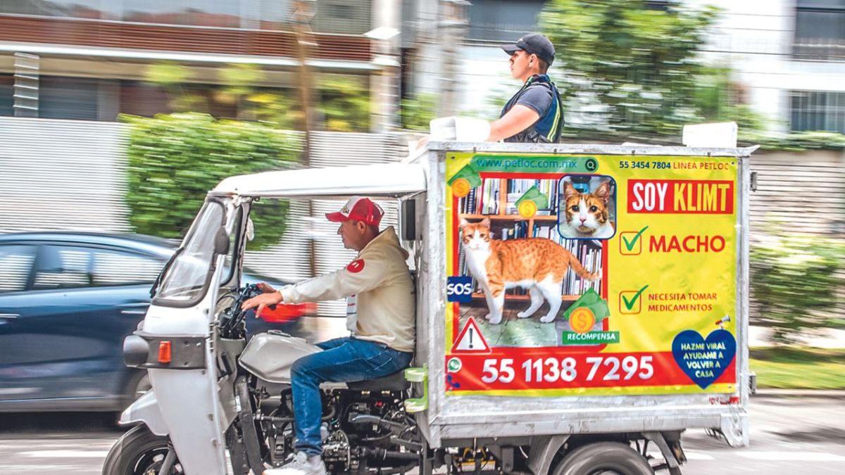 Trayectoria.El equipo de Petloc con diversos equipos de tecnología ha logrado regresar a más de 4 mil mascotas con sus dueños.