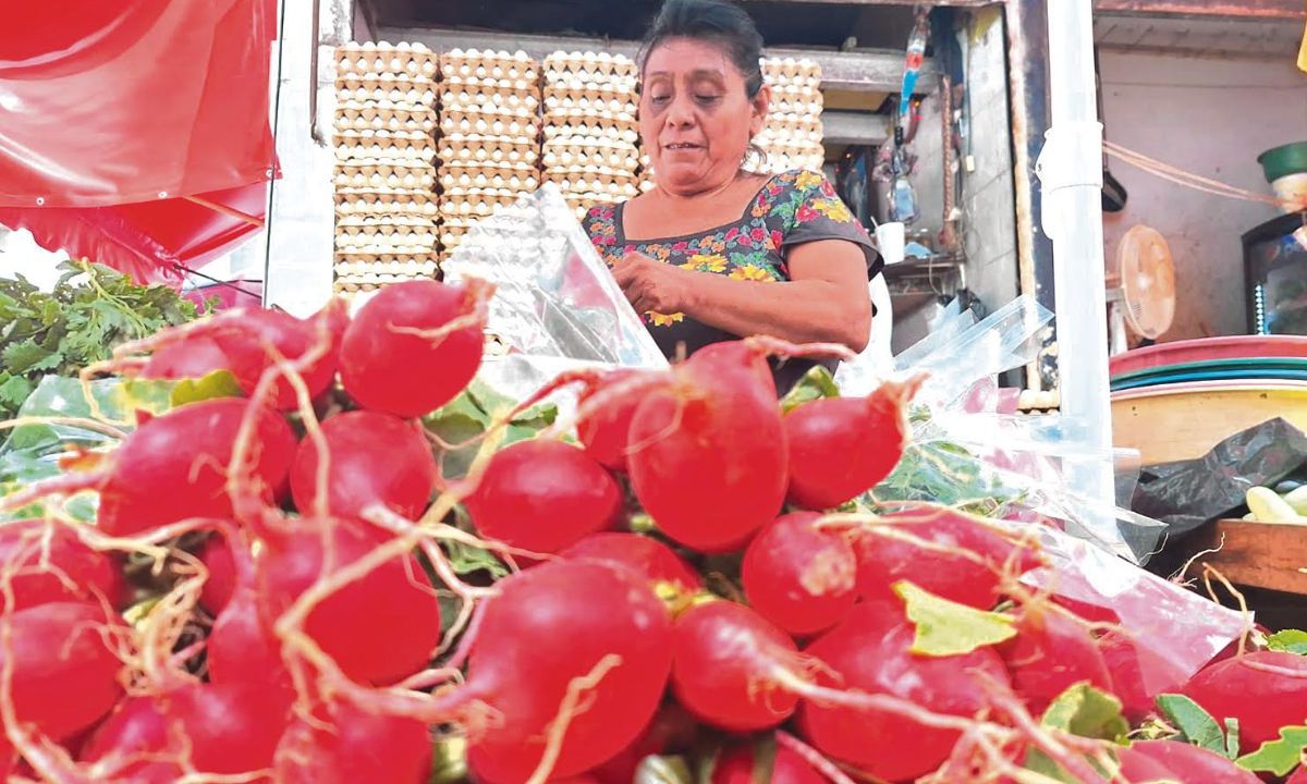 Legado. Los adultos mayores que usan este método no tienen a quien heredar sus conocimientos: especialista.