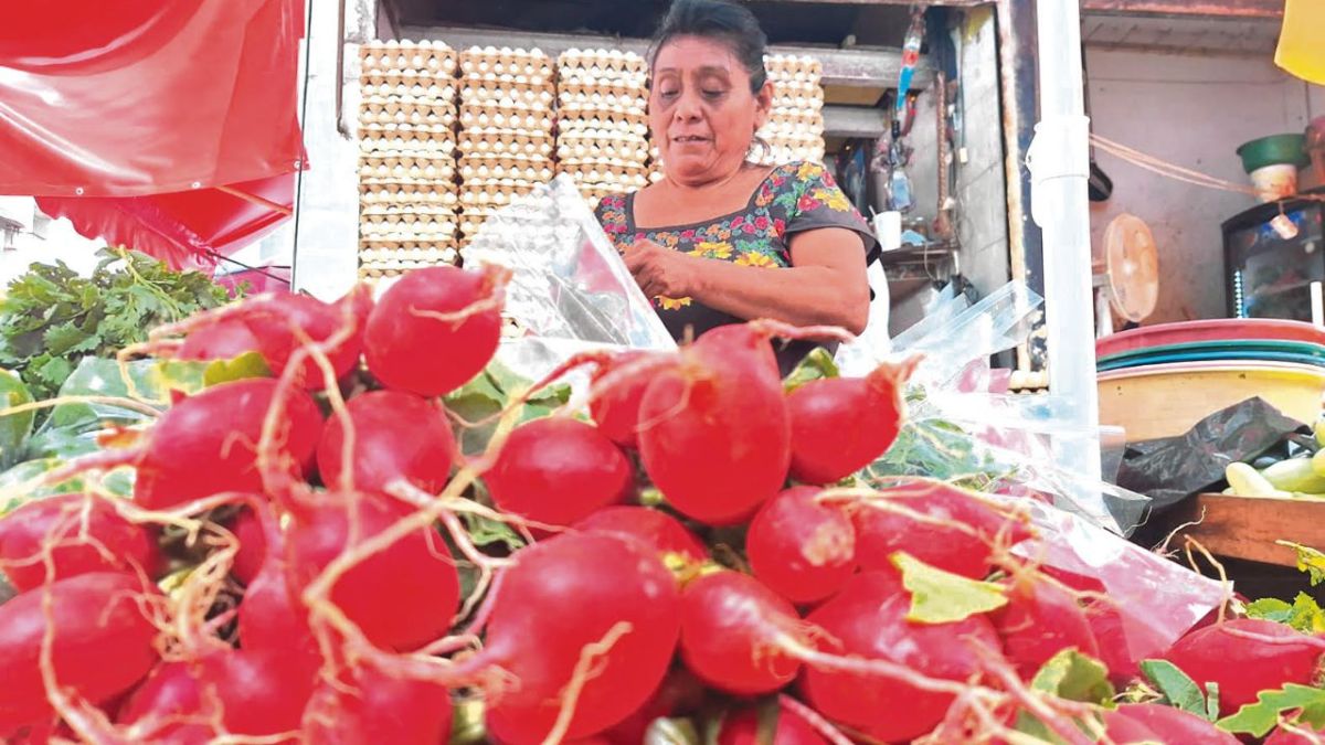 Legado. Los adultos mayores que usan este método no tienen a quien heredar sus conocimientos: especialista.