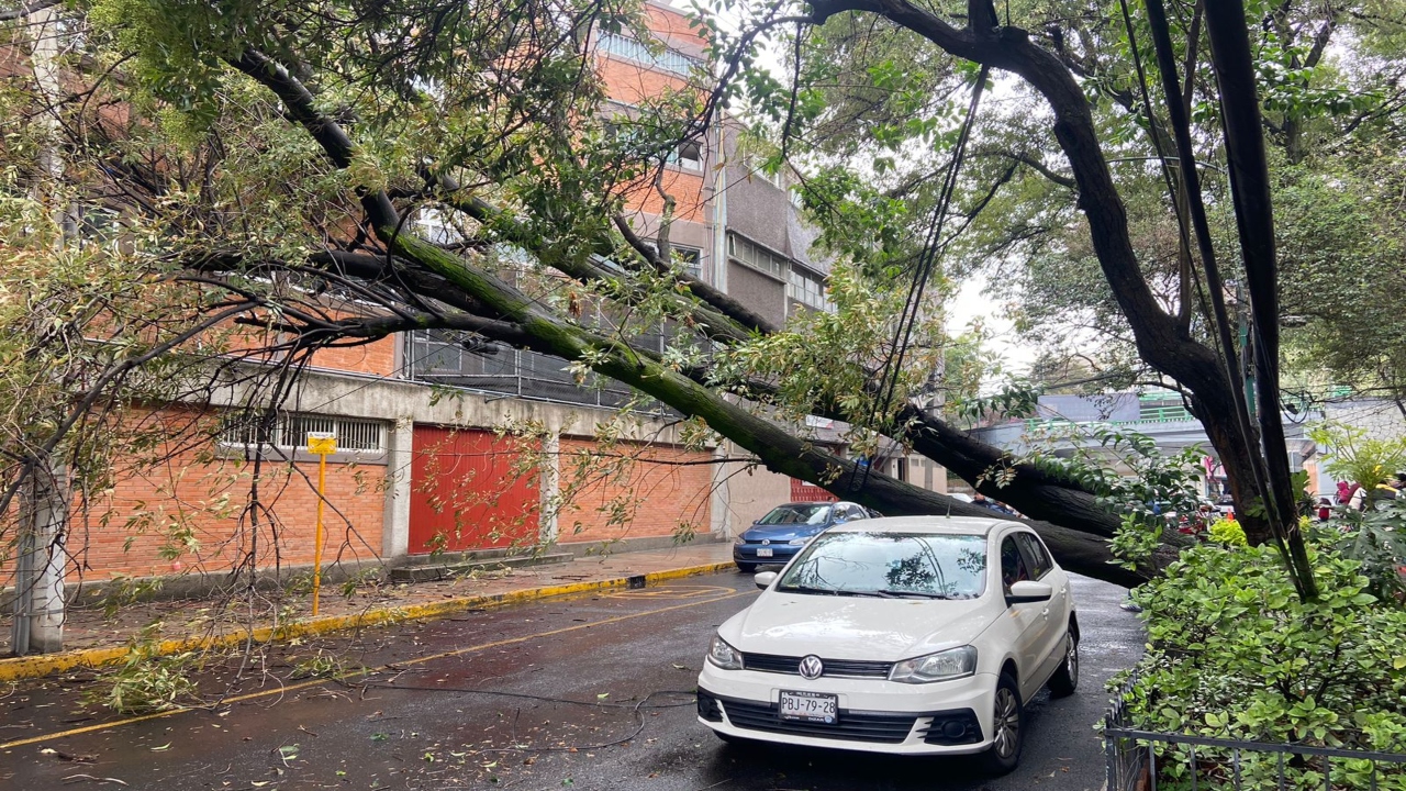 Fotos: Cortesía/Esq. Río Becerra y Alabama, en la colonia Nápoles