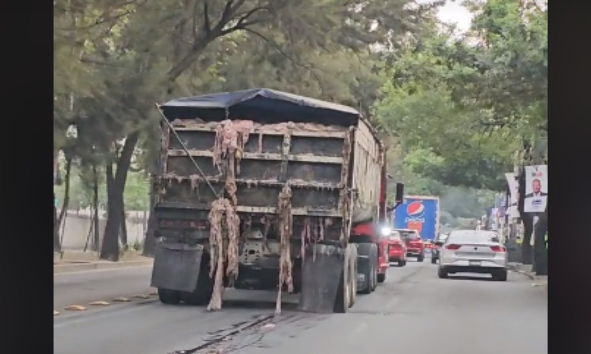 Foto: @thebestlml/ Camión con viseras de animal, desborda y deja rastro de su paso por calles de la CDMX