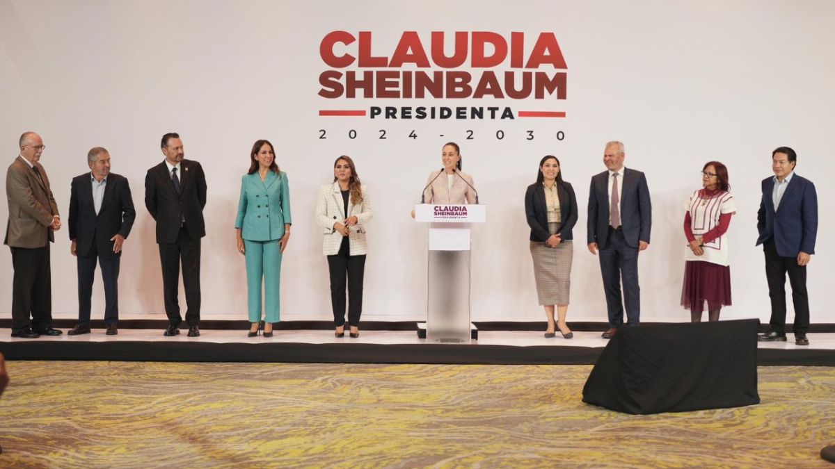 Federación apoyará al menos un proyecto por entidad: Sheinbuam