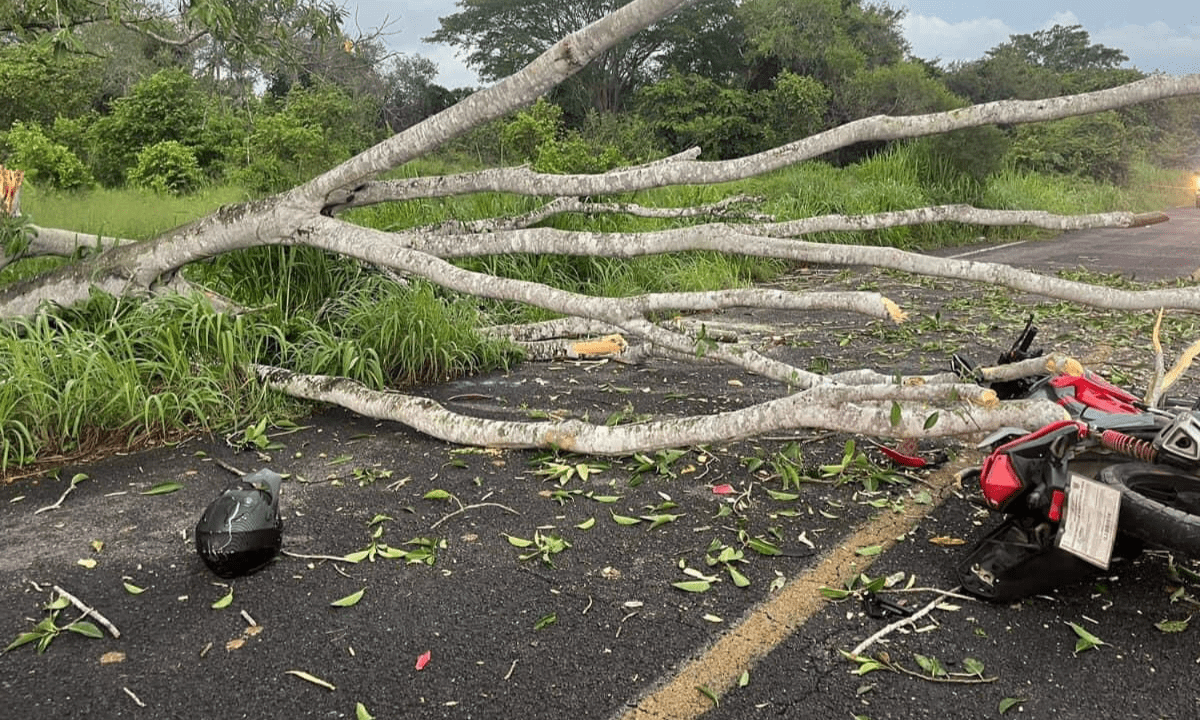 Motociclista - Colima