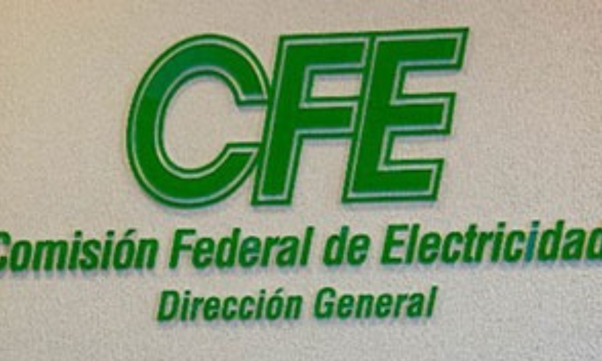 La CFE precisó que está en coordinación con el Sistema Nacional de Protección Civil, está la Secretaría de la Defensa Nacional y otras dependencias