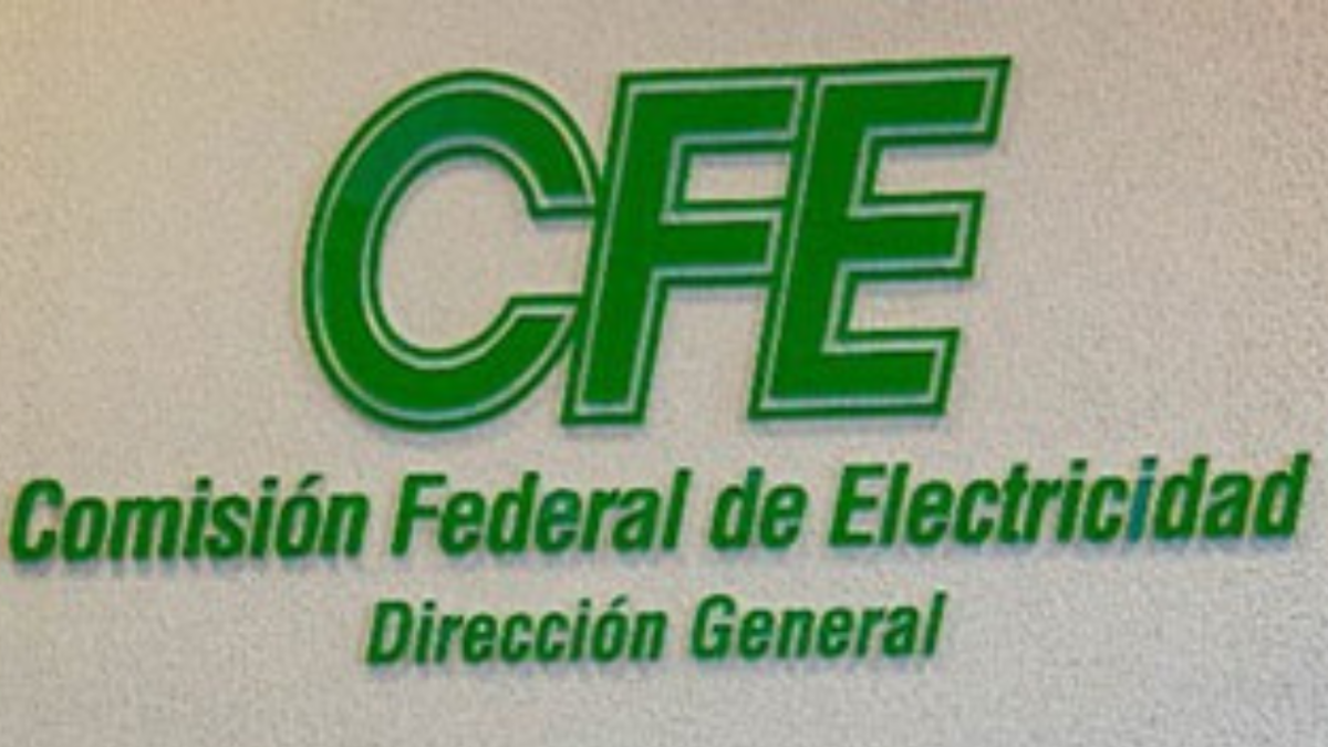 La CFE precisó que está en coordinación con el Sistema Nacional de Protección Civil, está la Secretaría de la Defensa Nacional y otras dependencias