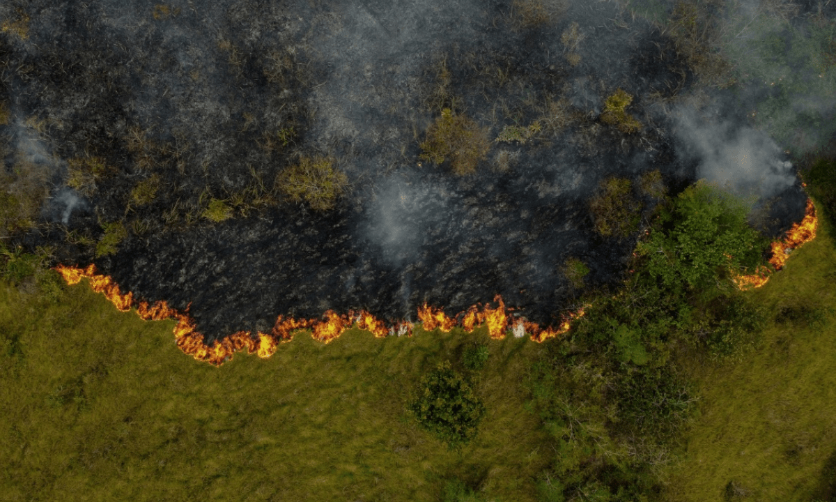 Incendios en la Amazonía brasileña superan récord en dos décadas