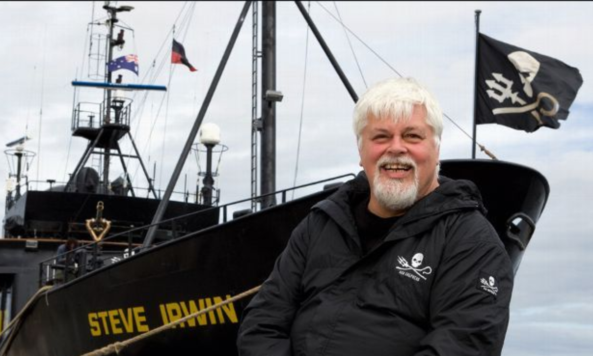 Groenlandia prologa la custodia de Paul Watson, defensor de ballenas