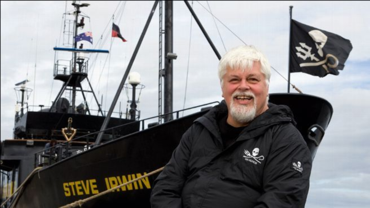 Groenlandia prologa la custodia de Paul Watson, defensor de ballenas