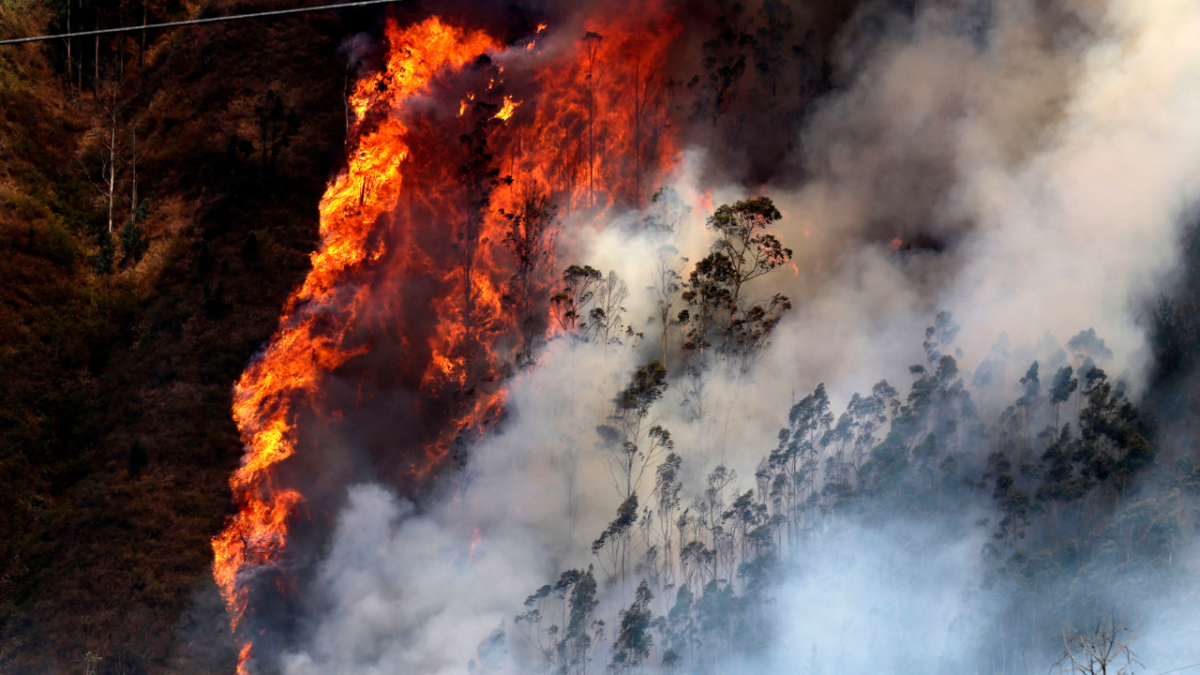 Incendio forestal en Ecuador arrasa tres mil 977 hectáreas de bosque