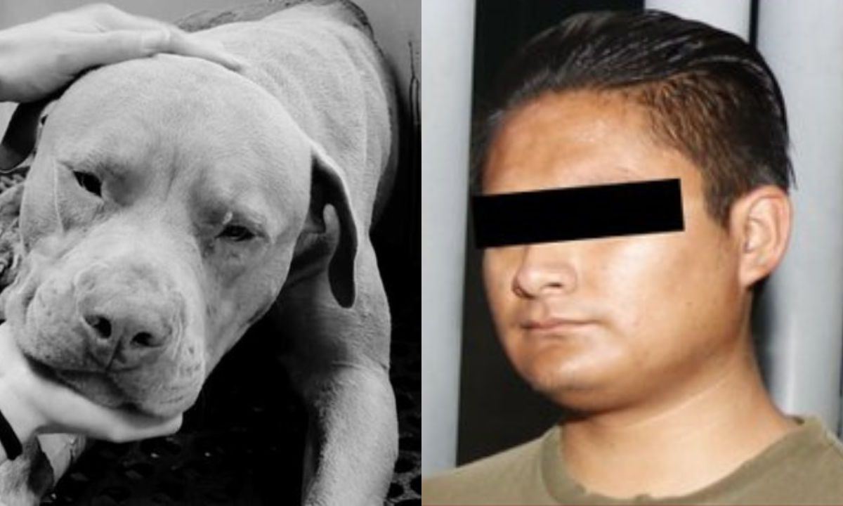 Caen presunto asesino de "Jefazo", perrito que fue macheteado en Hidalgo, por perseguir a un conejo