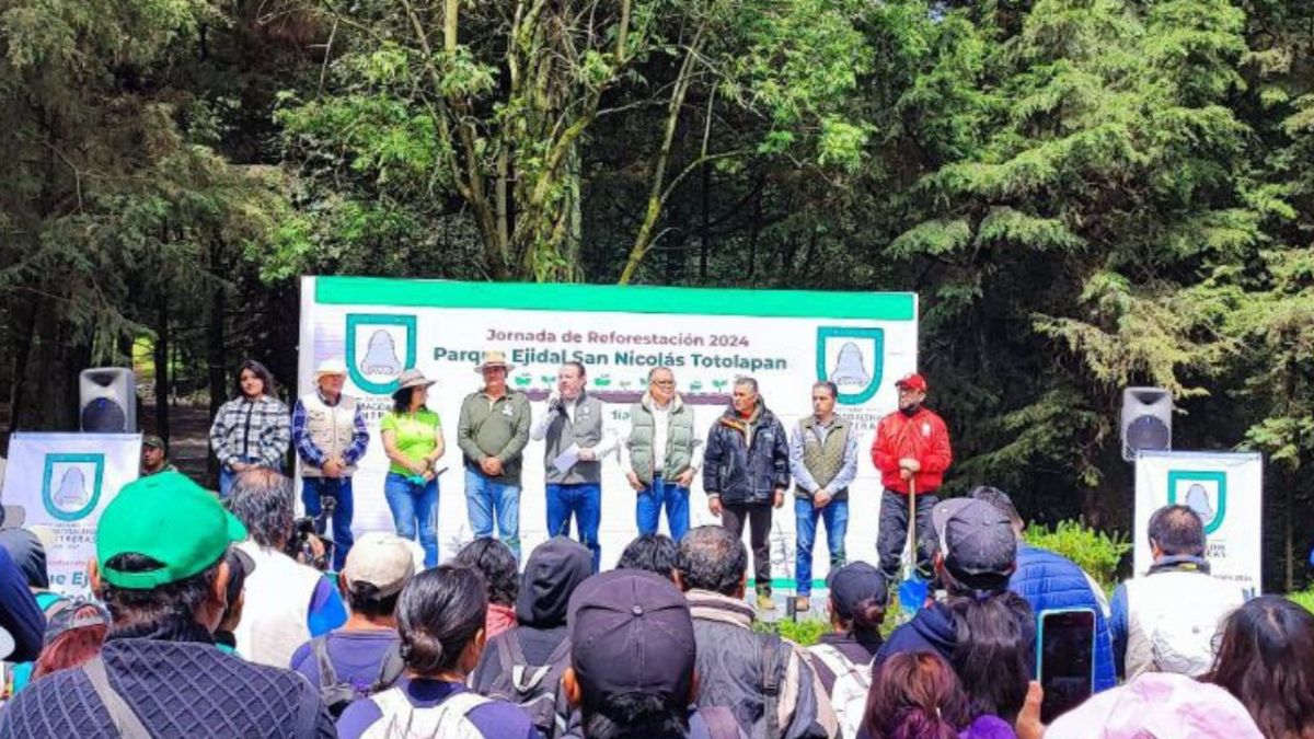 Inicia la Mega Jornada de Reforestación 2024 en la Magdalena Contreras