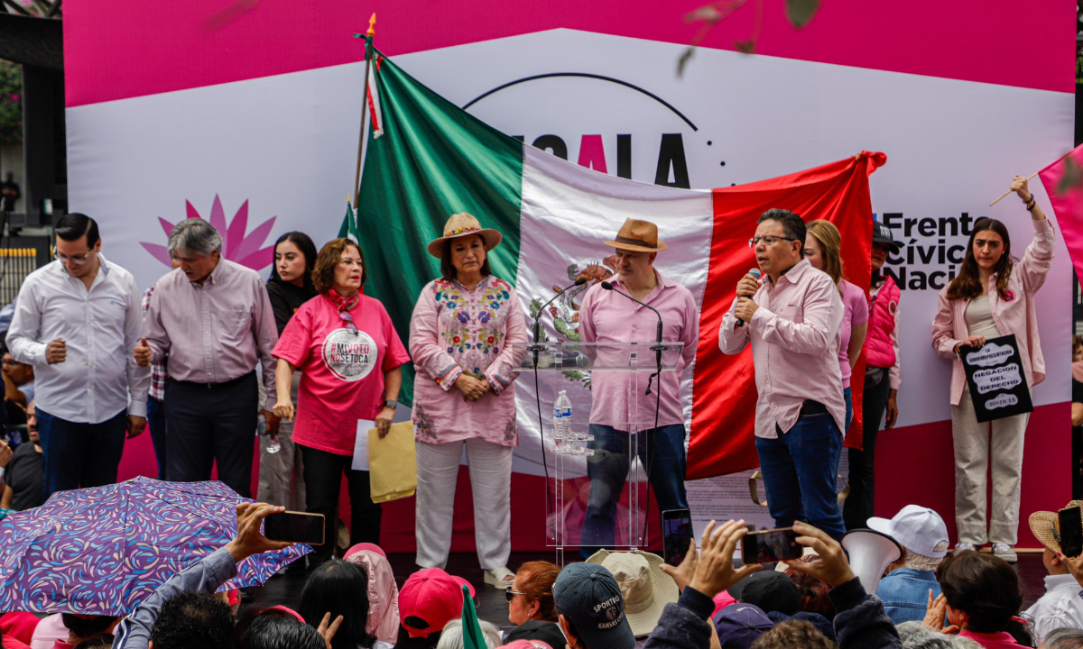 Marcha de la Marea Rosa