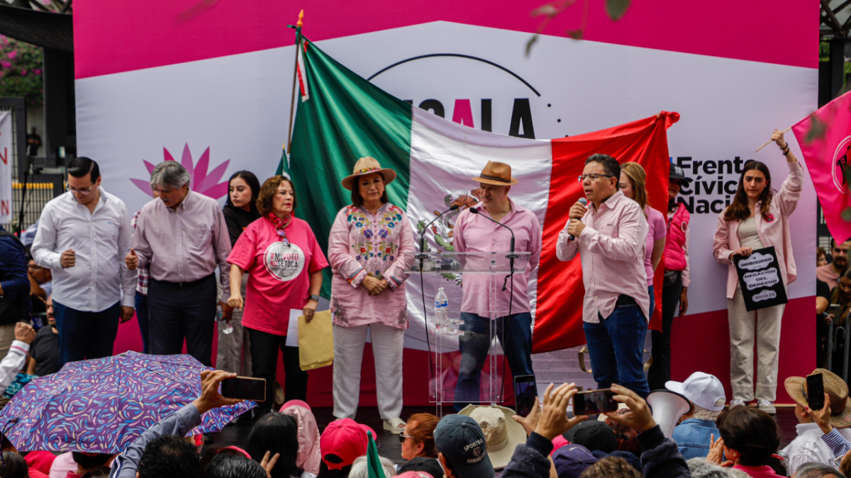 Marcha de la Marea Rosa