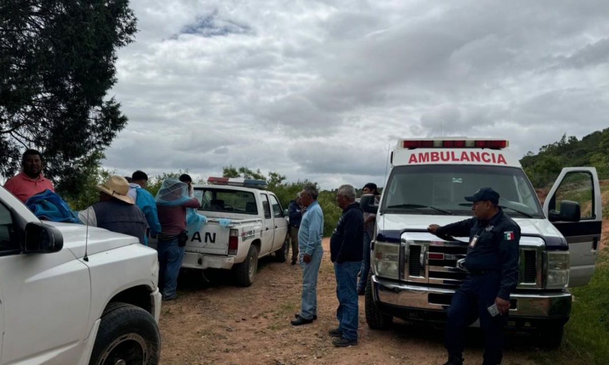 Ataca enjambre de abejas a comuneros en Oaxaca