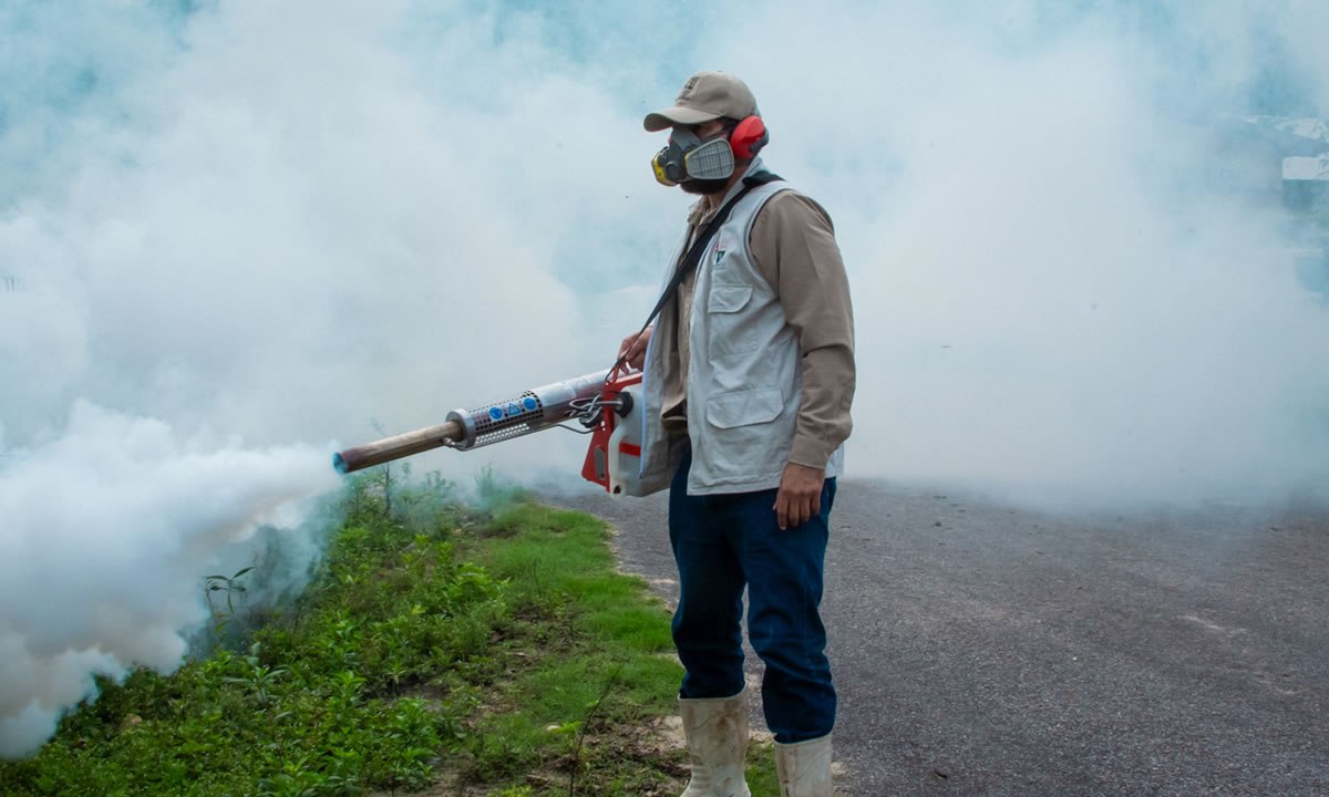 Combaten dengue en Champotón, Campeche