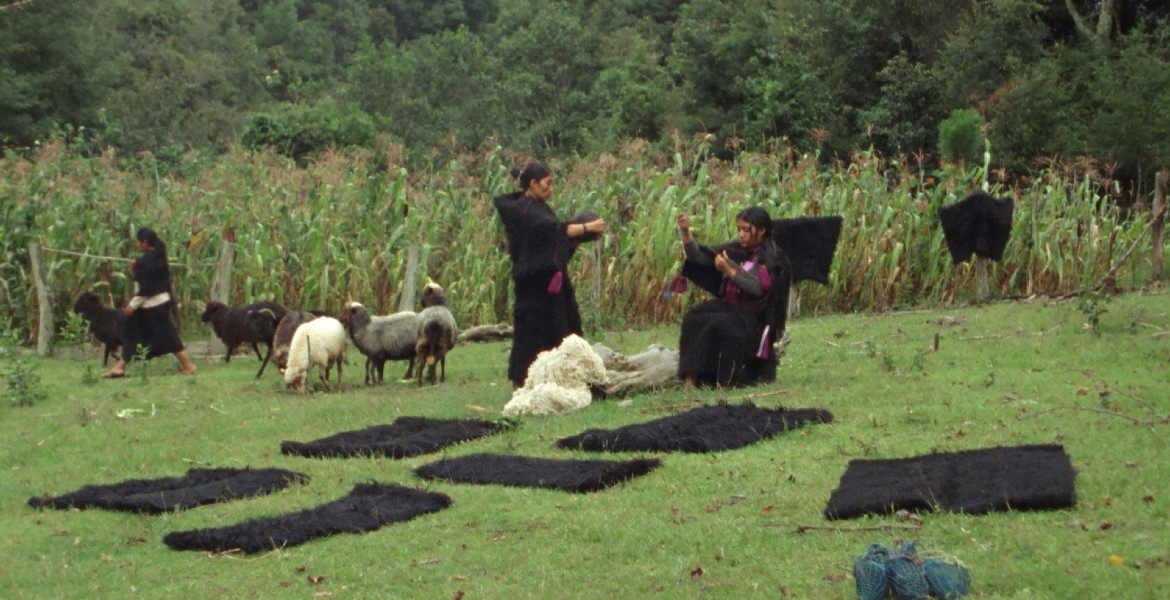 Fotograma de "Formas de atravesar un territorio".