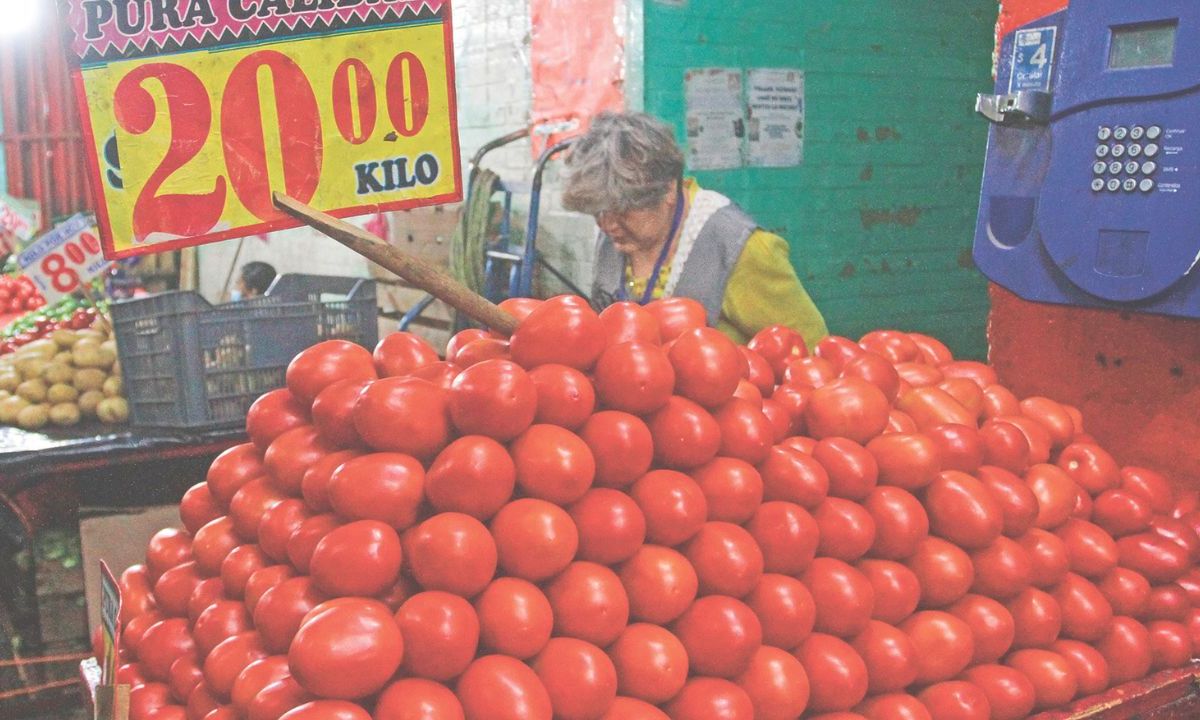 Los cambios ambientales que generaron una intensa sequía en el país a principios de año hicieron que se obtuviera una menor producción de tomate rojo