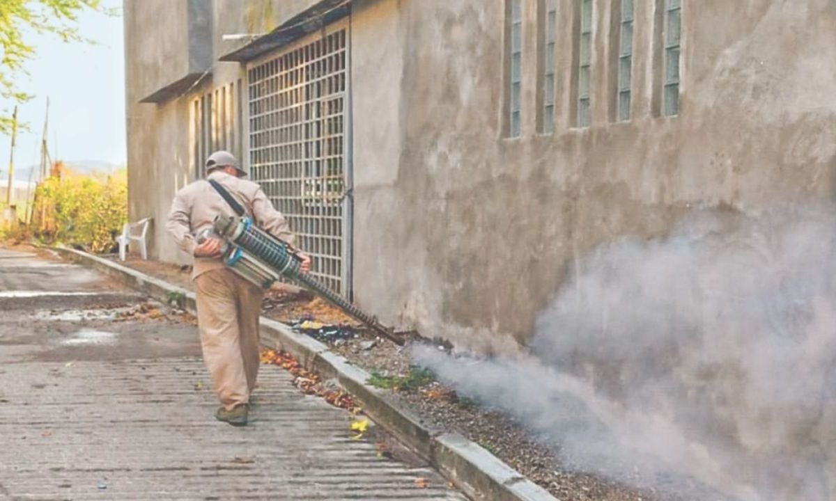 PRECAUCIÓN. Los estados realizan campañas de fumigación para evitar la proliferación de zancudos, transmisor del dengue.