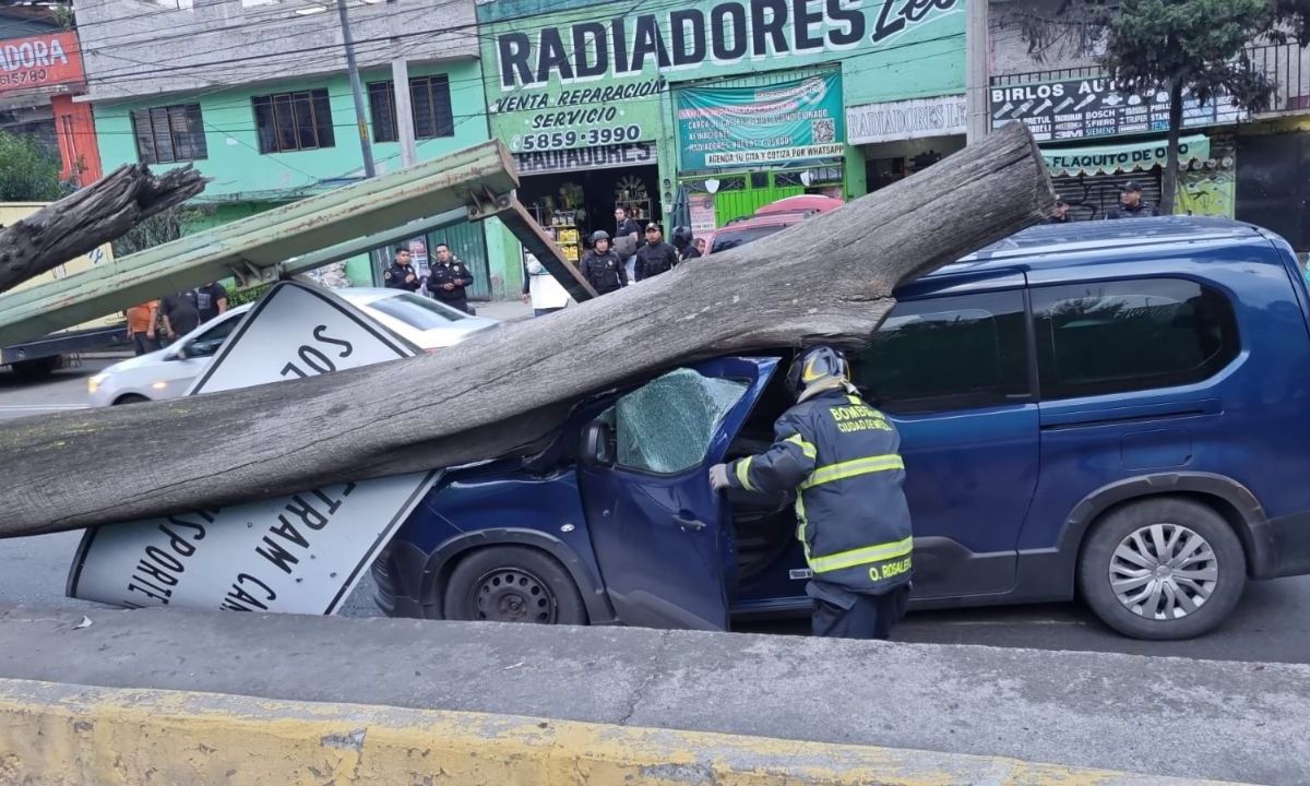 Emergencia . En Iztapalapa, un árbol cayó de raíz; impactó sobre un vehículo, lesionando al conductor.